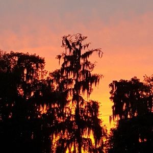 Meet your Posher, Trina